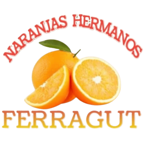 logo-removebg-preview (1) (1)