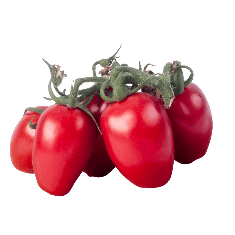 Tomate Pera