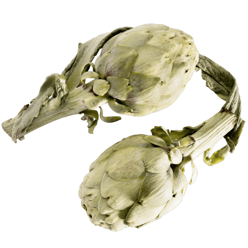 Alcachofa