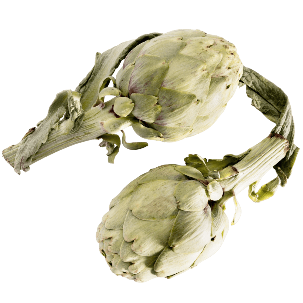 Alcachofa